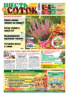 Шесть соток в Сибири №10/2018