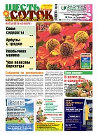 Шесть соток в Сибири №09/2020