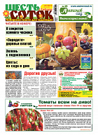 Шесть соток в Сибири №10/2019