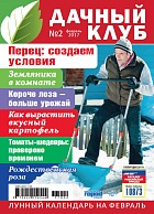 Дачный клуб 01.2014